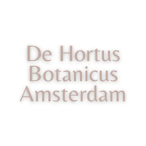 De Hortus Botanicus Amsterdam trouwen