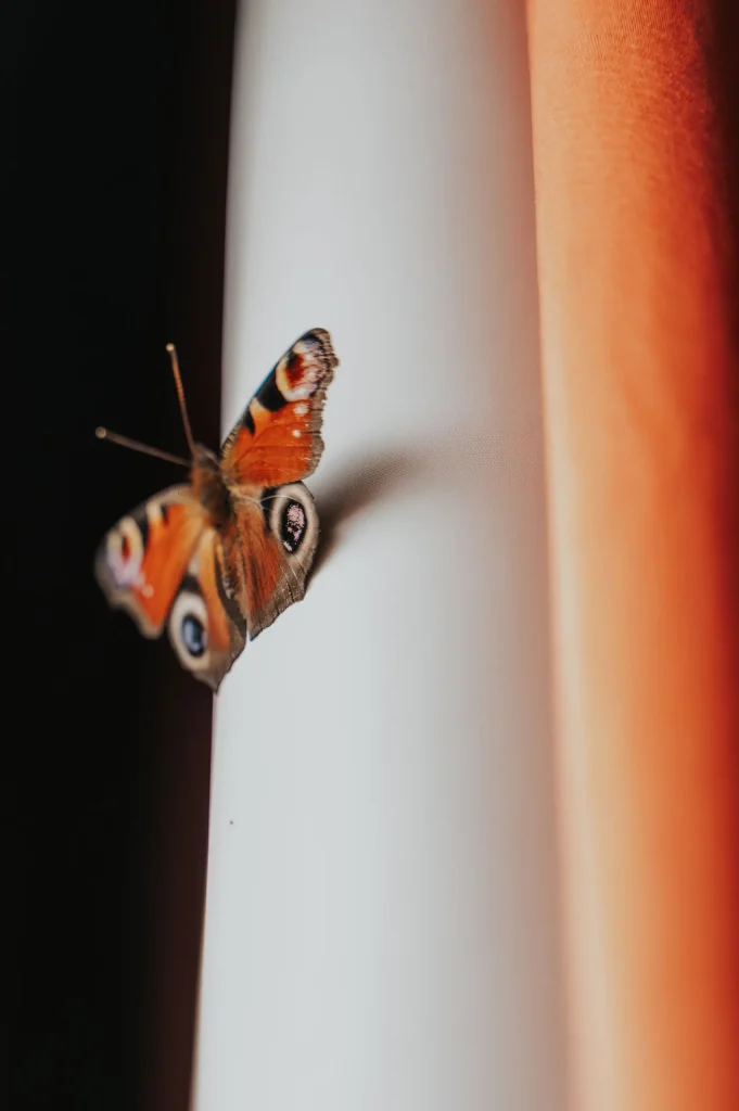 Landgoed Brakkesteyn trouwen